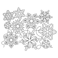 snowflake pano 005